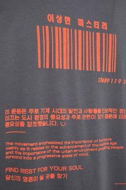 Antrasit Oversize/Genis Kesim K?sa Kol Uzakdogu Bask?l? %100 Pamuklu T-Shirt TMNSS23TS00159 - Trendyolmilla фото 4