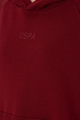 Женский бордово-красный свитшот Неожиданная скидка в корзине - U.s. polo assn фото 7