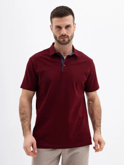 Джемпер мужской с воротником поло короткий рукав GREG G144-PO1246T-SAS2081(бордо)  фото 4
