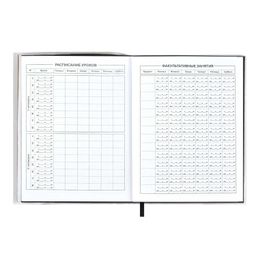 Дневник школьный арт. 54185 / 15 ЛИМОН - Феникс+ фото 8