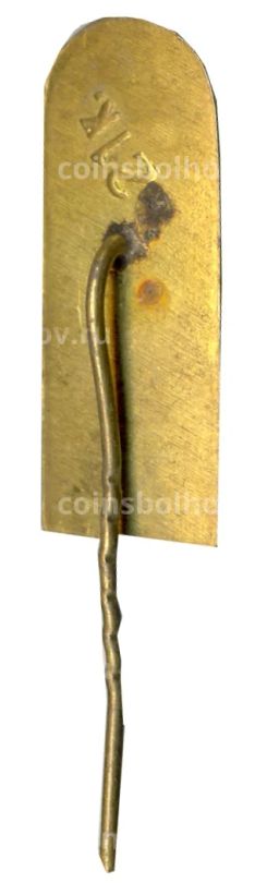 Значок Вильнюс