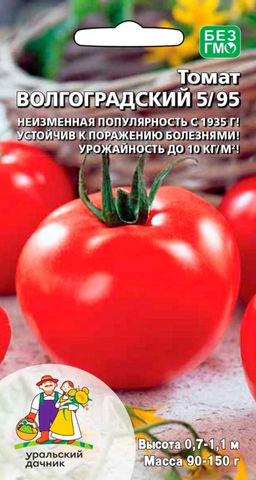 Томат ВОЛГОГРАДСКИЙ 5/95 (большой пакет) Семян в 10 раз больше, чем в обычном пакете!