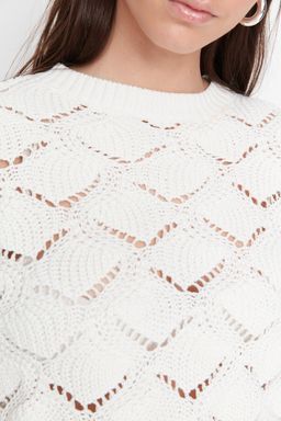 Vizon Ajurlu/Delikli Triko Kazak TWOAW22KZ1171 - Trendyolmilla фото 12