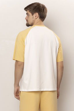 ФУТБОЛКА МУЖСКАЯ арт. 6104M-20355.1F-122.1453