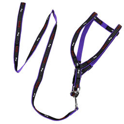 Поводок для собаки 116х2см со шлейкой, на картоне, цвета микс (Китай) - Pet toys фото 3