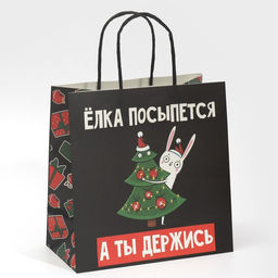 Пакет подарочный А ты держись, 22 22 11 см
