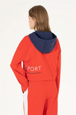 Женская красная толстовка с капюшоном Неожиданная скидка в корзине - U.s. polo assn фото 5