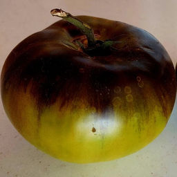 7057T Томат Охровая Джоли 10шт