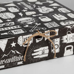 Цена за 2 шт. Коробка подарочная складная, упаковка, Мужская, 31?24.5?8 см