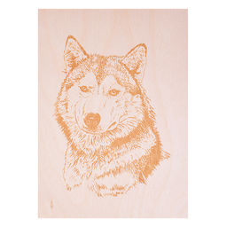 Выжигание. Набор для выжигания по дереву "Горыныч" (прибор + 10 досок)