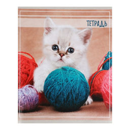 Комплект тетрадей из 5 штук, тетрадь 36 листов в клетку Calligrata Котята, обложка мелованный картон, блок офсет  фото 6
