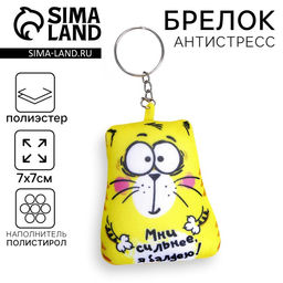 Цена за 2 шт. Брелок-антистресс «Мни сильнее, я балдею!», кот, 7×7 см