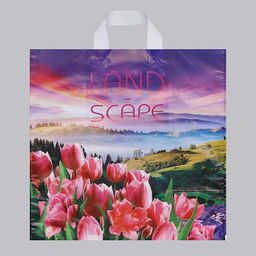 Цена за 25 шт. Пакет Просторы, полиэтиленовый с петлевой ручкой, 38?42 см, 40 мкм