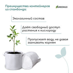 Контейнер с ручками, 28 × 24 см, 11 л, спанбонд, плотность 130 г/м², Greengo