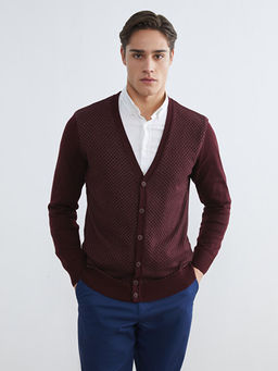 Standart Kal?p V Yaka Erkek Triko H?rka