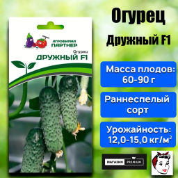Огурец партенокарпический Дружный - Партнер фото 2