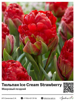 5ad51265063fe36a96baae5c2fde4ae3ecuw7v3vbmaqhekqd