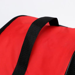 Сумка - переноска для животных, оксфорд, 42 х 22 х 29 см, красная - Пижон фото 5