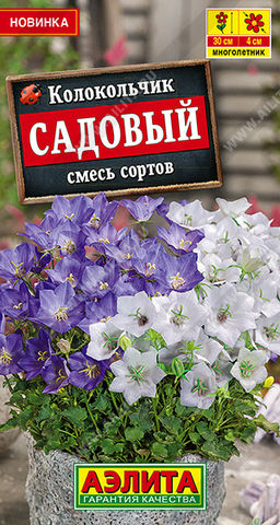 Колокольчик Садовый, смесь сортов --- Дв