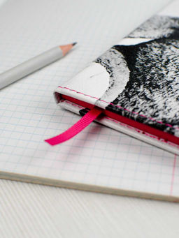 Дневник школьный арт. 68717 / 15 МИШКА В ШАПОЧКЕ