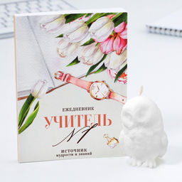 Подарочный набор, ежедневник А6, 120 л., фигурная свеча «Учителю, который вдохновляет»