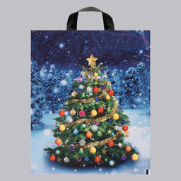 Цена за 20 шт. Пакет новогодний «Зимняя красавица», полиэтиленовый с петлевой ручкой, 28×35 см, 50 мкм