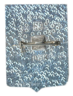 Значок Шацк