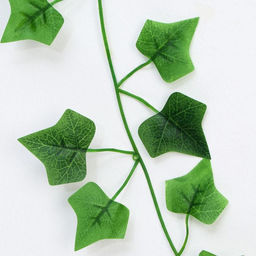 Цена за 7 шт. Лиана искусственная «Лист», 200 см