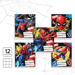 Цена за 20 шт. Тетрадь в клетку 12 листов, 5 видов МИКС, обложка мелованный картон,