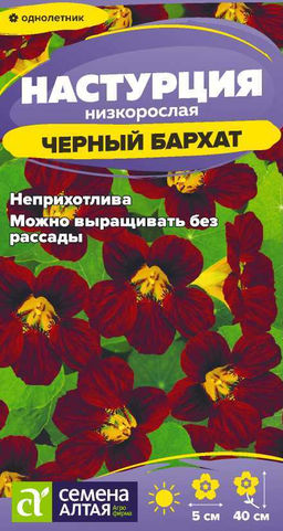 Цветы Настурция Черный бархат/Сем Алт/цп 0,5 гр.