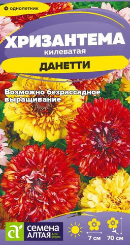 Хризантема Данетти килеватая 0,1г (Семена Алтая)