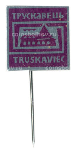 Значок Трускавец