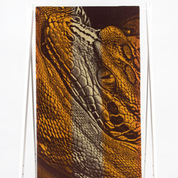 6с102.411ж1 Задумчивость (оранжевая радужка) Полотенце махровое 67х150см