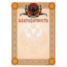 Цена за 2 шт. Благодарность Знак почета ГЕРБ И ФЛАГ А4, цв. рамки: золот., тисн. фольгой и конгрев