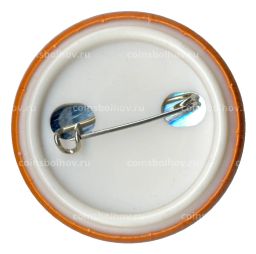Значок Истпед