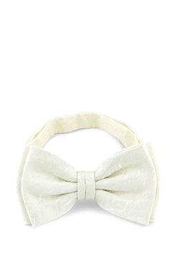 Галстук-бабочка мужской CASINO Casino-poly-wedding 512.1.518