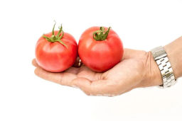 Томат Императорская Слабость - Партнер фото 3