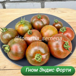 Гном Эндис Форти НОВИНКА 2025 года!