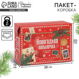 Цена за 2 шт. Пакет-коробка подарочный новогодний Посылочка, 28?20?13 см