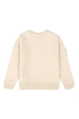 Толстовка с камнем для мальчика - U.s. polo assn фото 2