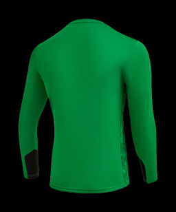 Свитер вратарский JOGEL DIVISION PerFormDRY GK Splash, зеленый