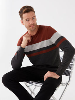 Bisiklet Yaka Uzun Kollu Renk Bloklu Erkek Triko Kazak