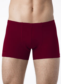 Брестские ТРУСЫ МУЖСКИЕ BOXER SHORTS 6300 ВАСИЛЕК - Conte elegant фото 5