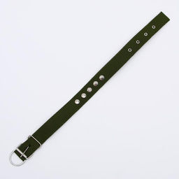 Ошейник клепаный, 48,5 х 3 см, ОШ 31-40 см, полиэстер, тёмно-зелёный - Пижон фото 3