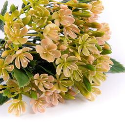 Искусственное растение Blumentag ATJ-23 Растение искусственное Очиток 30 см 5 х 1 шт. 01  фото 6