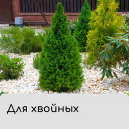 Цена за 3 шт. Чехол для растений, трапеция на шнурках, 75×70 см, спанбонд с УФ-стабилизатором, плотность 60 г/м², Greengo