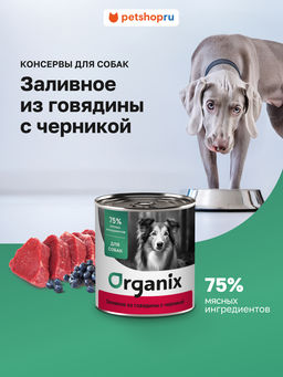 Консервы для собак Заливное из говядины с черникой 22ел16