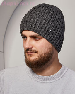 96717 Silver Шапка мужская флис (57-59)