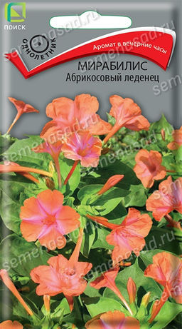 Мирабилис Абрикосовый леденец (ЦВ) ("1) 1гр.