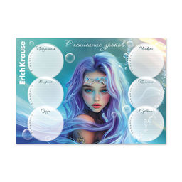 Цена за 5 шт. Расписание уроков А4 "Aquamarine" (65309, "ErichKrause") мелованный картон 170г/м2